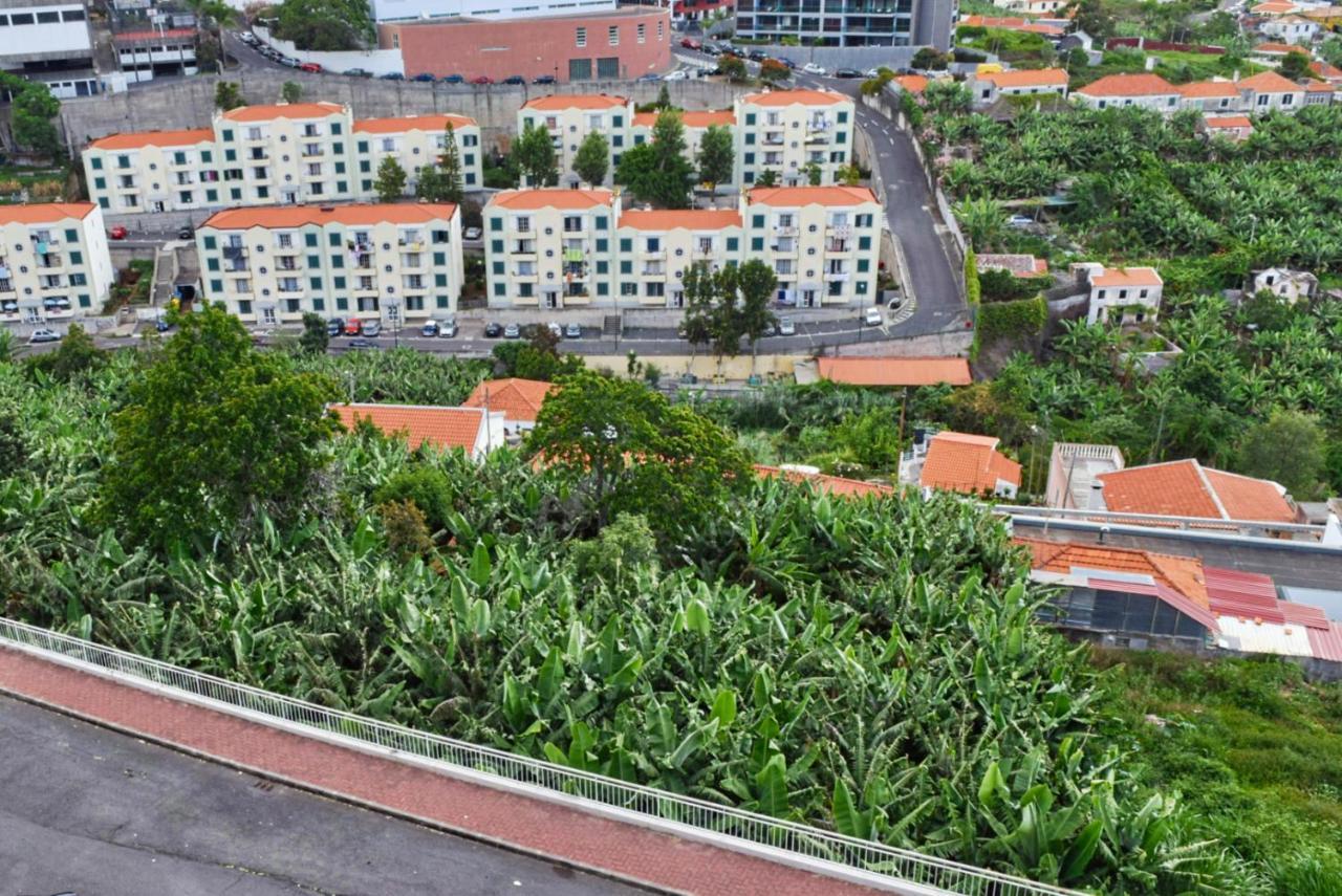 Design Gardens, A Home In Madeira Funchal  Exterior foto
